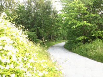 The new democracy conditions in Sweden 